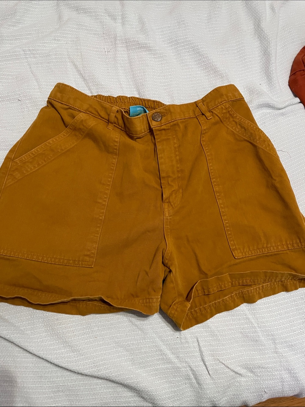 Big Bud Press Mustard Shorts